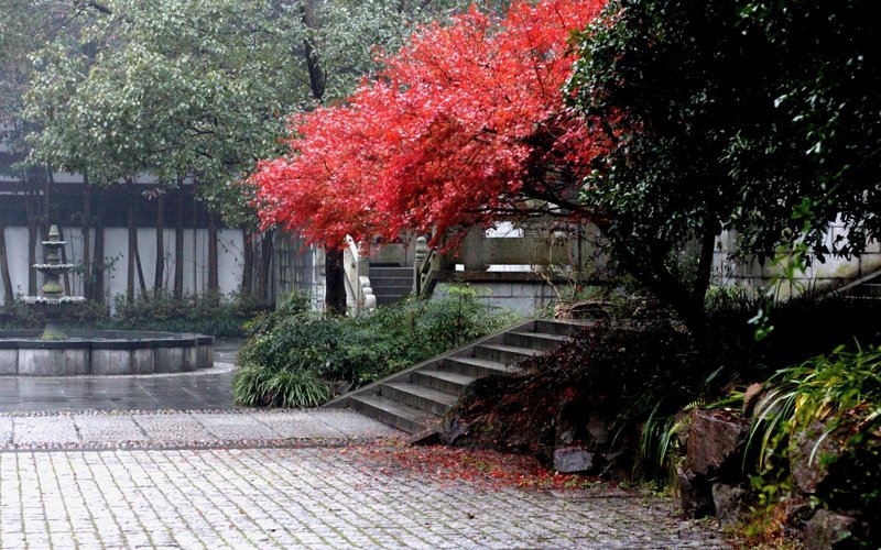 古代禅宗经典书籍，包括六祖坛经与金刚经