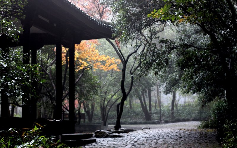 当代禅学论著，南怀瑾、元音老人等大师著作